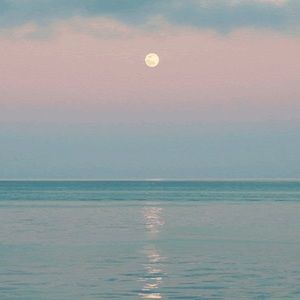 Meet your Posher, Daphne